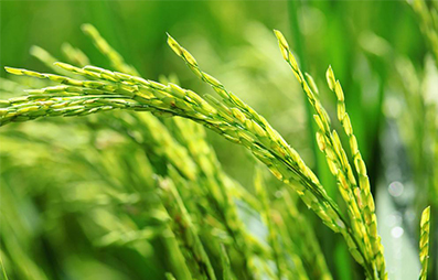 71101940.jpg 20220111093346_14606.jpg